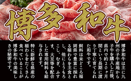 【厳選部位】【A4～A5】博多和牛サーロインしゃぶすき焼き用　1kg(500g×2p)　AO037