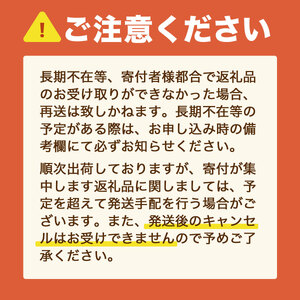 【毎月定期便】大満足!訳あり辛子明太子　小切1kg(100g×10p)全3回　AO055