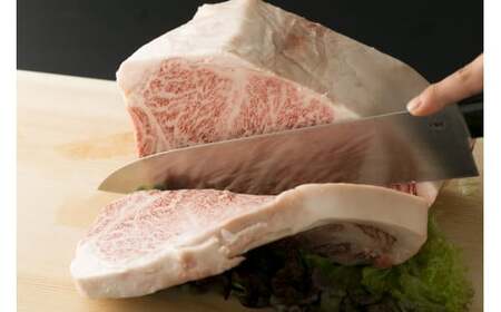 【毎月定期便】【A4～A5】博多和牛サーロインステーキ 500g (250g×2枚) 全3回　AO074