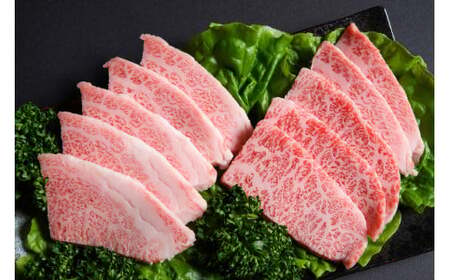 【毎月定期便】訳あり!【A4～A5】博多和牛焼肉切り落とし　1kg(500g×2p) 全3回　AO092