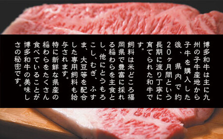 【A4~A5】博多和牛サーロインステーキセット 1kg(250g×4枚) AO120