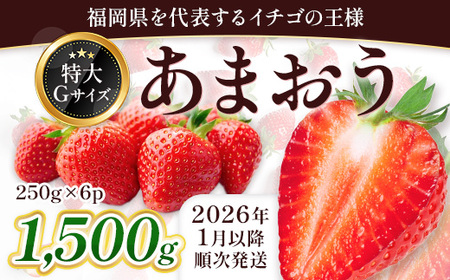 福岡県産 あまおう 1500g　先行予約 2026年1月以降より順次発送　BA007-3