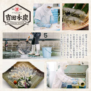 ふぐフルコースセット（4～5人前）A 【刺身：とらふぐ】 AE021