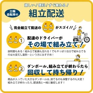電動アシスト 三輪自転車 三輪車 大人用 20インチ 組立配送 シニア 高齢者 電動自転車 3輪 安定 カゴ付き 通院 買い物 免許返納 ギフト 免許返納 プレゼント 人気 安心 安全 ミムゴ イーパートン BEPN20SB 福岡県 粕屋町 CC006