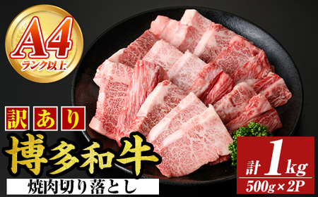 ＜訳あり＞【A4～A5】博多和牛焼肉切り落とし(肩ロース・バラ) (合計1kg・500g×2P) 国産 九州産 福岡県産 牛肉 和牛 黒毛和牛 ヤキニク やきにく 焼き肉 お肉【MEAT PLUS】as08-043
