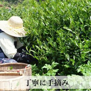 【新茶ギフト】星野村の八女茶 飲みくらべ2本セット 化粧箱入り【1501031】