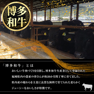 博多和牛肩ロースすき焼き用・博多和牛生ハンバーグ詰め合わせ(2種・総量1.1kg) 牛肉 ブランド牛 和牛 すき焼き しゃぶしゃぶ  おかず 惣菜 お弁当 個装 小分け 個包装 冷凍【JA全農ミートフーズ】as39-001