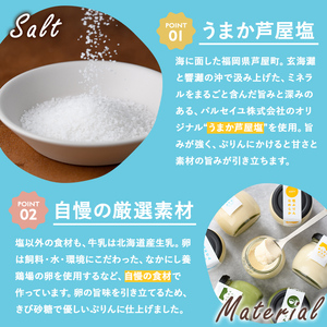 自家製塩ぷりんオリジナルセット(9個) ぷりん プリン デザート スイーツ おやつ 芦屋塩 ギフト プレゼント 贈答用 贈り物 瓶入り 抹茶 塩ぷりん 塩プリン 食べくらべ 食べ比べ セット 詰め合わせ カラメル 洋菓子【あしやんぷりん】as28-001