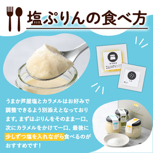 自家製塩ぷりんオリジナルセット(9個) ぷりん プリン デザート スイーツ おやつ 芦屋塩 ギフト プレゼント 贈答用 贈り物 瓶入り 抹茶 塩ぷりん 塩プリン 食べくらべ 食べ比べ セット 詰め合わせ カラメル 洋菓子【あしやんぷりん】as28-001