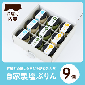 自家製塩ぷりんオリジナルセット(9個) ぷりん プリン デザート スイーツ おやつ 芦屋塩 ギフト プレゼント 贈答用 贈り物 瓶入り 抹茶 塩ぷりん 塩プリン 食べくらべ 食べ比べ セット 詰め合わせ カラメル 洋菓子【あしやんぷりん】as28-001