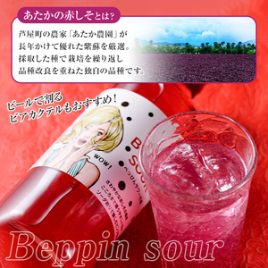 芦屋BEPPINサワーの素 (720ml×1本) 芦屋町特産 赤しそ 紫蘇 シソ お酒 ソーダ割 アルコール リキュール ギフト 贈り物 プレゼント 贈答用 晩酌【地酒とギフトの店 てのや】as01-005