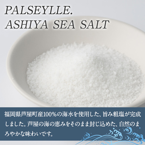 芦屋町の旨み粗塩 (100g) 塩 海水 福岡県 芦屋町 ソルト 低温乾燥製法 チャック付きしお あら塩 【パルセイユ】as04-027