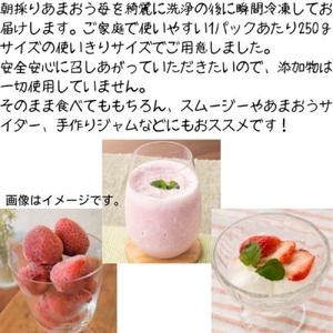 ≪訳あり≫福岡県産 冷凍あまおう(計1kg・250g×4P) いちご イチゴ 苺 ストロベリー 果物 フルーツ おやつ デザート 訳アリ わけあり サイズ不揃い 規格外 冷凍【木村食品】as46-003
