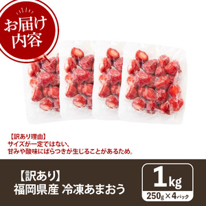 ≪訳あり≫福岡県産 冷凍あまおう(計1kg・250g×4P) いちご イチゴ 苺 ストロベリー 果物 フルーツ おやつ デザート 訳アリ わけあり サイズ不揃い 規格外 冷凍【木村食品】as46-003