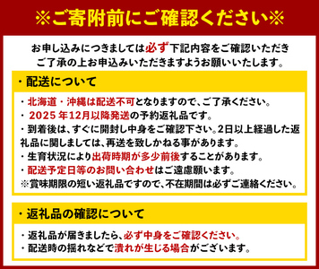 ＜先行予約受付中！2025年12月発送予定＞ 福岡県産 あまおう (計500g・250g×2パック) いちご イチゴ 苺 ストロベリー 果物 フルーツ おやつ デザート スイーツ 福岡県 小分け アマオウ 12月発送 期間限定 数量限定 冷蔵 【エフビーネット】as47-001