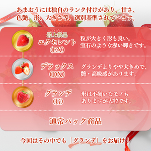 いちご あまおう【1月発送】計1kg 250g×4P |イチゴ エフビーネット as47-004