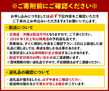 <先行予約受付中!2026年1月上旬以降順次発送予定> 福岡県産 あまおう (計1.5kg・250g×6パック) いちご イチゴ 苺 ストロベリー 果物 フルーツ おやつ デザート スイーツ 福岡県 小分け アマオウ 1月発送 期間限定 数量限定 冷蔵 【エフビーネット】as47-005
