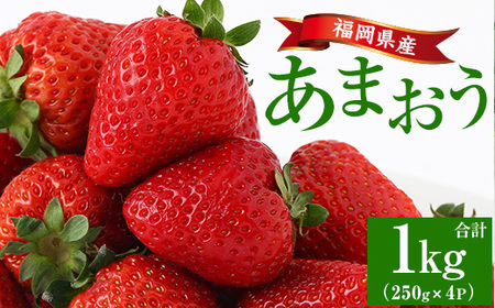 ＜先行予約受付中！2026年2月上旬より順次発送予定＞福岡県産 あまおう (計1kg・250g×4P) いちご イチゴ 苺 ストロベリー 果物 フルーツ おやつ デザート 1000g 4パック 冷蔵【錦屋商事】as48-001