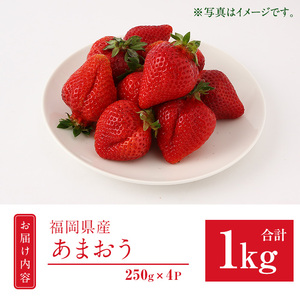 ＜先行予約受付中！2026年2月上旬より順次発送予定＞福岡県産 あまおう (計1kg・250g×4P) いちご イチゴ 苺 ストロベリー 果物 フルーツ おやつ デザート 1000g 4パック 冷蔵【錦屋商事】as48-001