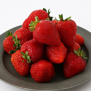 ＜先行予約受付中！2026年2月上旬より順次発送予定＞福岡県産 あまおう (計1kg・250g×4P) いちご イチゴ 苺 ストロベリー 果物 フルーツ おやつ デザート 1000g 4パック 冷蔵【錦屋商事】as48-001