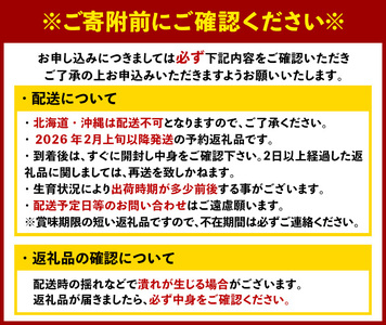 ＜先行予約受付中！2026年2月上旬より順次発送予定＞福岡県産 あまおう (計1kg・250g×4P) いちご イチゴ 苺 ストロベリー 果物 フルーツ おやつ デザート 1000g 4パック 冷蔵【錦屋商事】as48-001