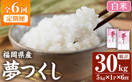 ≪令和7年産≫【6回定期便・白米】【食味鑑定士厳選】福岡県産 夢つくし(総計30kg・5kg×1袋×6回) 白米 米 お米 おこめ ごはん ゆめつくし ご飯 常温 福岡県産 ブランド米 定期便 定期 頒布会 常温 常温保存 【ファインリョーコク】as34-016