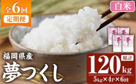 ≪令和7年産≫【6回定期便・白米】【食味鑑定士厳選】福岡県産 夢つくし(総計120kg・5kg×4袋×6回) 白米 米 お米 おこめ ごはん ゆめつくし ご飯 常温 福岡県産 ブランド米 定期便 定期 頒布会 常温 常温保存 【ファインリョーコク】as34-019 25,200円