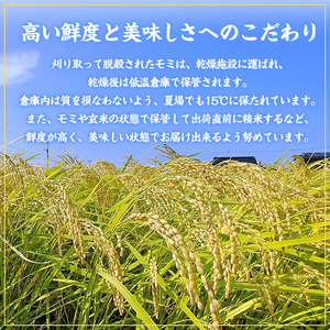 福岡県ブランド米 元気つくし (5kg) お米 米 コメ おこめ こめ げんきつくし 白米 ごはん ご飯 福岡県産 ブランド米 常温 常温保存 おにぎり おむすび お弁当 【農産物直売所ほたるの里】as52-001