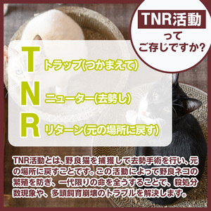 ≪お礼品なし≫保護猫 活動支援(1口：5,000円) 猫 ねこ ネコ 地域猫 野良猫 のらねこ さくら猫 保護 支援 保護猫活動 里親 動物保護 保護活動支援 ペット保護 支援活動 返礼品なし ボランティア活動 医療費 エサ代 TNR活動 去勢 【じゃむ屋】assn15-009