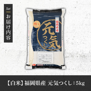 《白米》福岡県産ブランド米「元気つくし」(5kg) 白米 米 お米 おこめ ごはん げんきつくし ご飯 常温 福岡県産 ブランド米 常温 常温保存 おにぎり おむすび お弁当 ライス【朝ごはん本舗】as05-054
