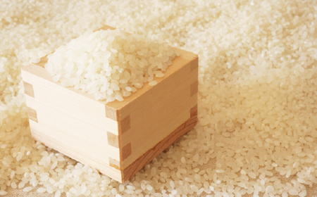 【令和5年産】福岡県産米食べ比べ＜白米＞セット「夢つくし」と「元気つくし」2種類　計20kg入【1102882】