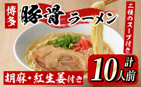博多ラーメン(10人前) 博多 博多ラーメン 豚骨 とんこつ スープ 常温 ギフト 贈答用【フーデリジェンス】as17-002