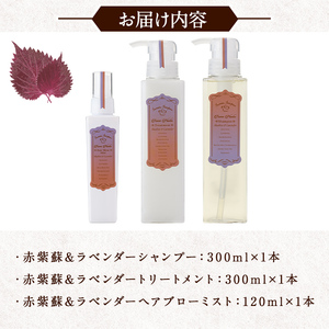 【美容】 ボンヌプランツ ナチュラルヘアケアセット 3種 | 美容 シャンプー