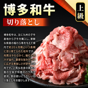 ＜訳アリ＞博多和牛切り落とし(500g)&冷凍あまおう(800g)セット 牛肉 国産 いちご 苺 イチゴ 【MEAT PLUS】as08-023