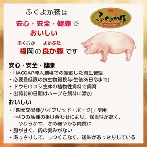 工場直送・鮮度抜群・ダイナミック　【ふくよか豚】豚スペアリブブロックカット2枚　約2kg【配送不可地域：離島】【1028580】