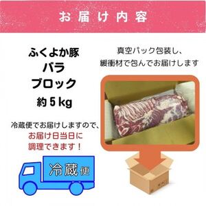 工場直送・鮮度抜群・ダイナミック　【ふくよか豚】豚バラブロック　約5kg【配送不可地域：離島】【1028581】