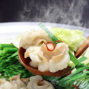 博多もつ鍋セット(九州味噌仕立て)国産牛もつ 300g 2~3人前(水巻町)【配送不可地域:離島】【1526283】