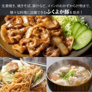 ふくよか豚切り落とし3.0kg(250g×12パック)【配送不可地域：離島】【1566230】