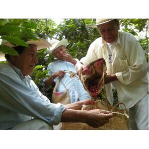 自然にやさしいフェアトレードコーヒー6袋セット(粉　200g×6袋)【1570275】