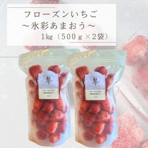 フローズンいちご～氷彩あまおう～ 1kg(500g×2袋)(水巻町)【配送不可地域：離島】【1641646】
