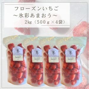 フローズンいちご～氷彩あまおう～ 2kg(500g×4袋)(水巻町)【配送不可地域：離島】【1641653】