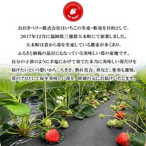 【2026年1月下旬～順次発送予定】福岡県産あまおう合計約1,080g 約270g×4パック(水巻町【配送不可地域：離島】【1685379】