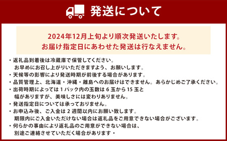 福岡県産 博多あまおう DX上級品 約560g（約280g×2パック入り）イチゴ  苺 【2024年12月上旬～2025年1月上旬発送予定】