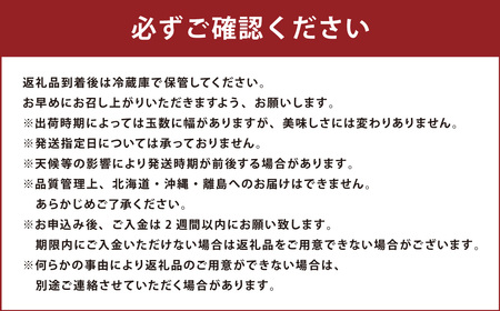 【3回定期便】博多あまおうリッチな定期便 いちご イチゴ 苺 【2024年12月上旬～2025年2月下旬発送予定】