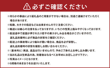 【3回定期便】あまおう 3パック あまおう いちご イチゴ 苺 果物 くだもの フルーツ【2025年1月下旬～3月下旬発送予定】