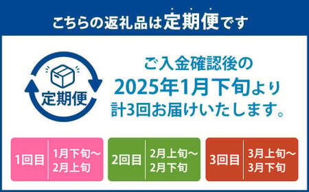 【3回定期便】あまおう 3パック あまおう いちご イチゴ 苺 果物 くだもの フルーツ【2025年1月下旬～3月下旬発送予定】