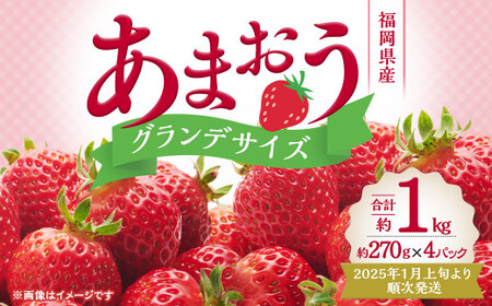 いちご の王様 ! あまおう グランデサイズ 約270g×4パック 合計約1,080g いちご 苺 イチゴ ストロベリー いちごの王様 フルーツ 果物 【2025年1月上旬-4月上旬発送予定】