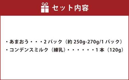 福岡県産あまおう2パック＆練乳 あまおう いちご イチゴ 苺 果物 くだもの フルーツ 練乳 コンデンスミルク セット 【2024年11月下旬～2025年3月下旬発送予定】