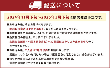 福岡県産あまおう2パック＆練乳 あまおう いちご イチゴ 苺 果物 くだもの フルーツ 練乳 コンデンスミルク セット 【2024年11月下旬～2025年3月下旬発送予定】