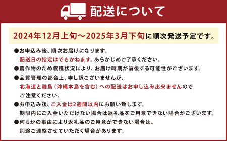 あまおう＆ふくや味の明太子100g あまおう いちご 苺 イチゴ 果物 くだもの フルーツ 明太子 めんたいこ セット 【2024年12月上旬～2025年3月下旬発送予定】